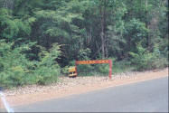 Photograph of Bibbulmun Track Sign in West Australia.