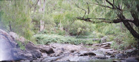 Cascades Brook in Pemberton Forest Western Australia.