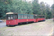Pemberton Tramway - Train tours in Western Australia Karri Forest photo.