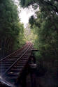 Train tracks in the forest in Western Australia Tram bridge - photos.