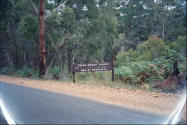 Treen Brook Forest - 1928-37 Regrowth - Picture of sign.